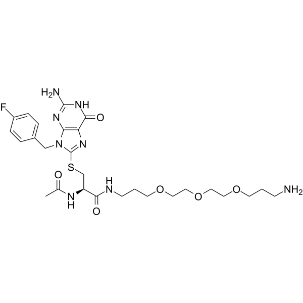 FBnG-(Cys-acetamide)-CH2-PEG3-CH2-CH2-CH2-NH2 2241669-84-9